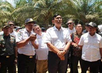 Luhut Panjaitan: Akhir 2019 Pembangunan Bandara di Labuhanbatu Bisa Dimulai
