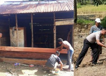 Di Mandailing Natal Polisi Bantu Warga di Ladang dan Perbaiki Rumah