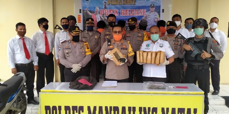 Masuk Madina, 2 Warga Sumbar Simpan Sabu dan 2 Warga Sidimpuan Bawa 8 Kg Ganja