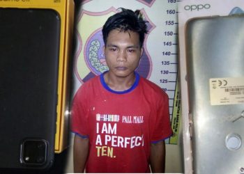 Dari Taman Bunga Diajak ke Jalan Kartini Bawah, Irwanto Telaumbanua Rampok Hp Anak Sekolah