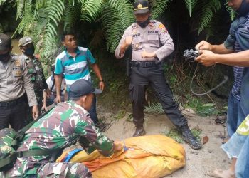 Pergi Mancing Tak Pulang-pulang, Marto Tumanggor Hanyut di Sungai