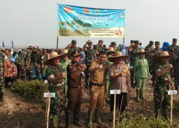 Peduli Lingkungan Hidup, Pangdam I/BB Tanam Mangrove di Bagan Serdang