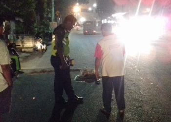Seruduk Bak Belakang Truk di Jalan Medan, Marin Draha Meregang Nyawa