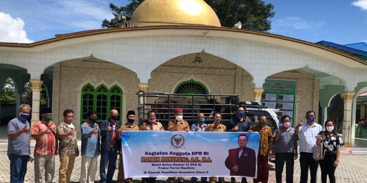 Wakil Ketua Komisi VI DPR RI, Martin Manurung Salurkan 10 Sapi Kurban di Kawasan Danau Toba