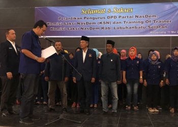 Martin Manurung Lantik DPD dan DPC NasDem Labusel