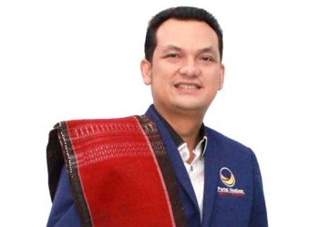 Dilantik Jadi Anggota DPR RI, Martin Manurung Minta Selalu Diingatkan