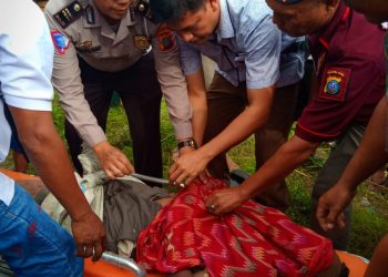 Marudut Siagian Meregang Nyawa, Sepedamotornya Terperosok ke Saluran Irigasi