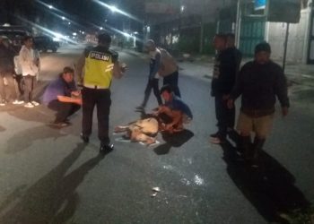 Maruli Situmorang, Kakek 60 Tahun Tewas di TKP, Becaknya Tabrakan dengan Avanza