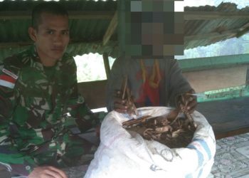 Yonif 126 Kala Cakti Gagalkan Peredaran Miras dan Kulit Masohi di Trans Papua