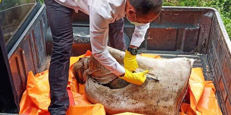 Kronologi Pembunuhan Nick Wilson, Pelajar SMP Negeri 2 Galang yang Jasadnya Ditemukan Dalam Goni Kronologi Pembunuhan Nick Wilson, Pelajar SMP Negeri 2 Galang yang Jasadnya Ditemukan Dalam Goni