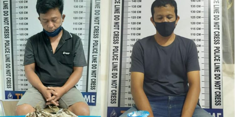 Penangkapan Tersangka Narkoba di Siantar, Alexander Purba di Tomuan, Baginda Nasution di Pondok Sayur