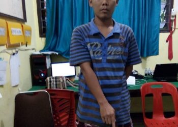 Polres Taput Tangkap Pengedar Ganja di Tarutung