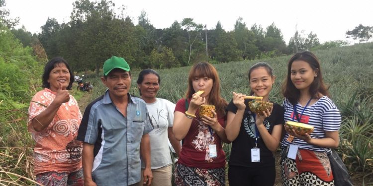 Wilayah Bagian Selatan Danau Toba Ternyata Punya Tambang Emas Hijau Wilayah Bagian Selatan Danau Toba Ternyata Punya Tambang Emas Hijau