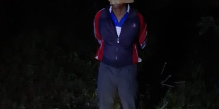 Sales Ngaku Dirampok di Simalungun, Ditemukan Terikat di Pohon