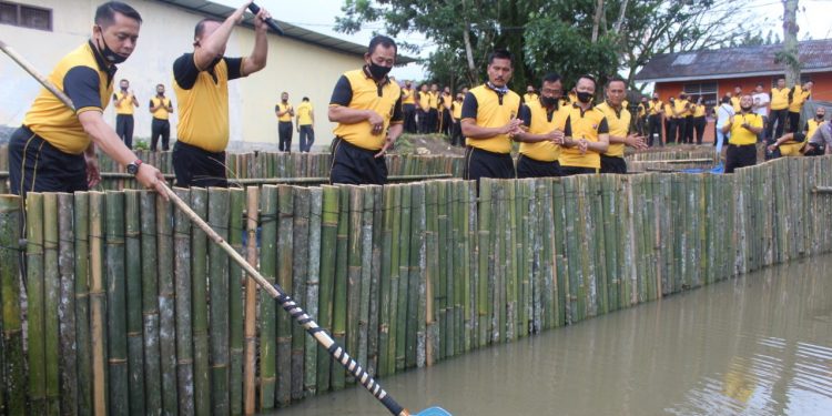 Program Ketahanan Pangan Covid-19, Kapolres Nias Tabur 20 Ribu Bibit Ikan Program Ketahanan Pangan Covid-19, Kapolres Nias Tabur 20 Ribu Bibit Ikan
