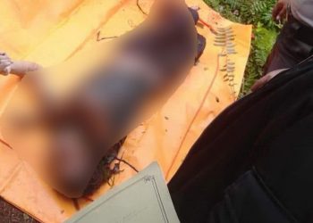 Novita Sari Simbolon Ditemukan Tewas di Kebun Sawit 