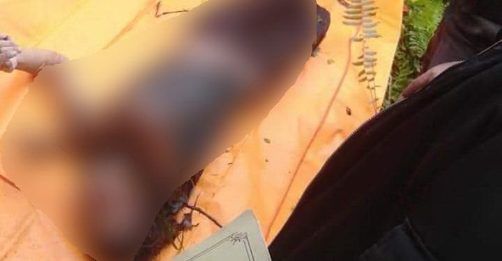 Novita Sari Simbolon Ditemukan Tewas di Kebun Sawit 