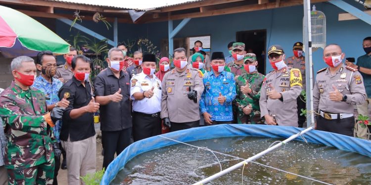 Kapolda Lampung Irjen Pol Drs Purwadi Arianto Panen Raya, Tabur Benih dan Bakti Sosial di Tulang Bawang Barat Kapolda Lampung Irjen Pol Drs Purwadi Arianto Panen Raya, Tabur Benih dan Bakti Sosial di Tulang Bawang Barat
