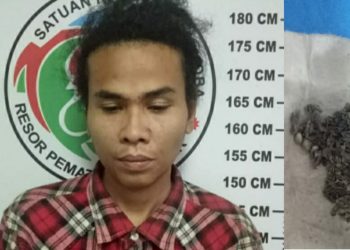 Ribut di Depan Rumah Kapolres, Ariadi Ritonga Jadi Ketahuan Bawa Ganja