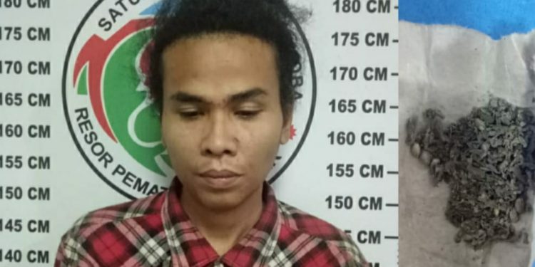 Ribut di Depan Rumah Kapolres, Ariadi Ritonga Jadi Ketahuan Bawa Ganja Ribut di Depan Rumah Kapolres, Ariadi Ritonga Jadi Ketahuan Bawa Ganja