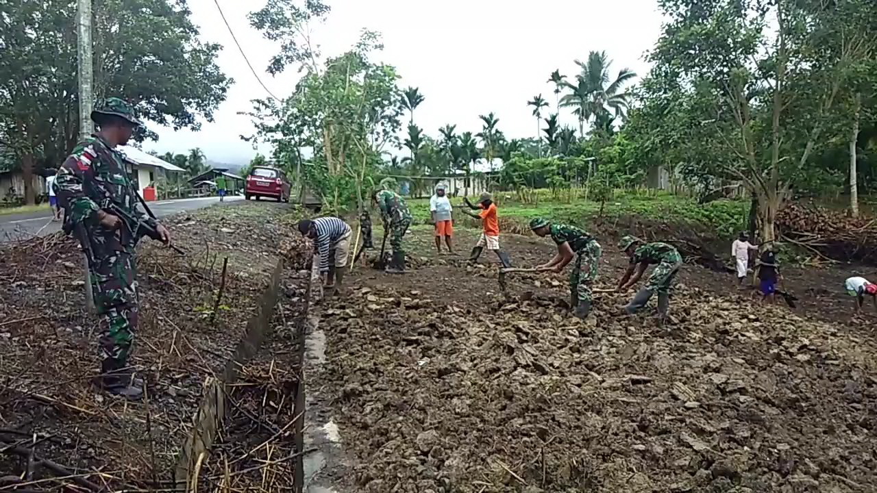Prajurit Satgas Yonif 126 Kala Cakti Buka Lahan Tidur Jadi Kebun Masyarakat Papua Prajurit Satgas Yonif 126 Kala Cakti Buka Lahan Tidur Jadi Kebun Masyarakat Papua