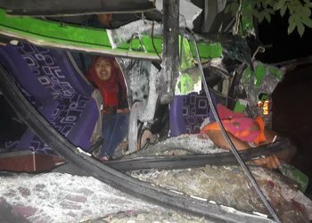 Breaking News: Laka Beruntun Bus Paradep, Belasan Luka-Luka