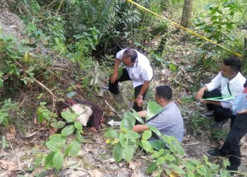 Diduga Curi Daun Sirih, Akner Rumapea Dibantai di Samosir