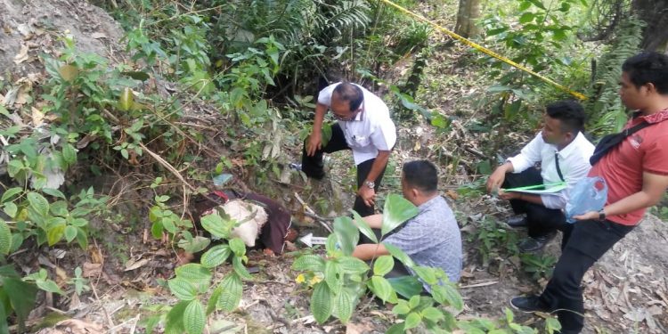 Diduga Curi Daun Sirih, Akner Rumapea Dibantai di Samosir Diduga Curi Daun Sirih, Akner Rumapea Dibantai di Samosir