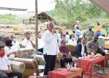 Dukung Rumah Pembibitan Kemenyan Masyarakat Adat Tornauli, Bupati Taput Langsung Pesan 20.000 Bibit