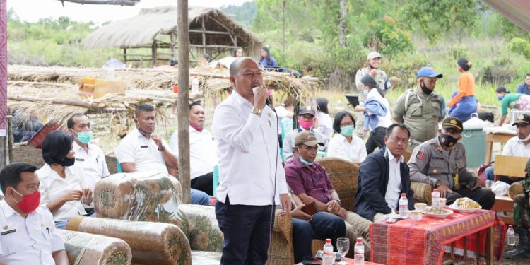 Dukung Rumah Pembibitan Kemenyan Masyarakat Adat Tornauli, Bupati Taput Langsung Pesan 20.000 Bibit Dukung Rumah Pembibitan Kemenyan Masyarakat Adat Tornauli, Bupati Taput Langsung Pesan 20.000 Bibit