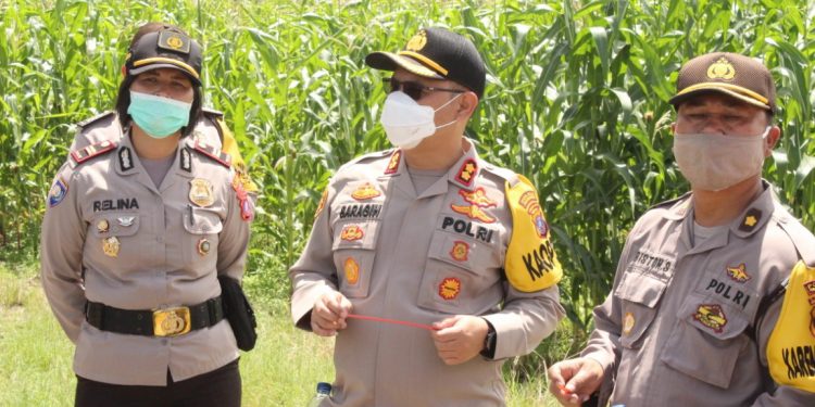 Polres Pematangsiantar Luncurkan Pilot Project Program Kampung Paten di Siantar Simarimbun Polres Pematangsiantar Luncurkan Pilot Project Program Kampung Paten di Siantar Simarimbun