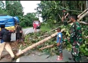 Satgas Yonif 126 Kala Cakti Evakuasi Pohon Tumbang di Trans Papua