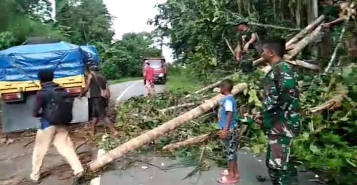 Satgas Yonif 126 Kala Cakti Evakuasi Pohon Tumbang di Trans Papua Satgas Yonif 126 Kala Cakti Evakuasi Pohon Tumbang di Trans Papua
