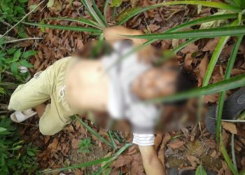 Jonson Simanjuntak Ditemukan Tewas di Bawah Pohon Alpukat
