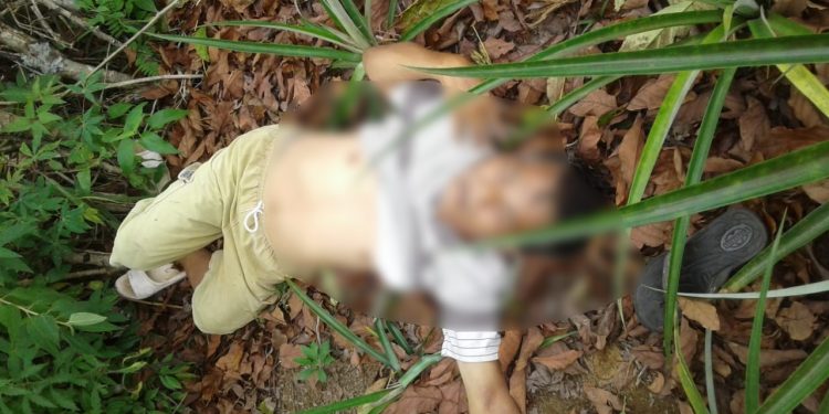 Jonson Simanjuntak Ditemukan Tewas di Bawah Pohon Alpukat Jonson Simanjuntak Ditemukan Tewas di Bawah Pohon Alpukat