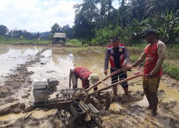 Polisi Masuk Sawah, Brigadir Yusron Pandiangan Bhabinkamtibmas Polres Madina
