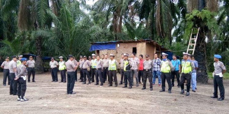 Grebek Gudang CPO, Polsek Torgamba Amankan Puluhan Jerigen Grebek Gudang CPO, Polsek Torgamba Amankan Puluhan Jerigen