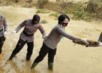 Polwan Polres Tanggamus Berjibaku Dengan Lumpur di Lokasi Bencana Semaka