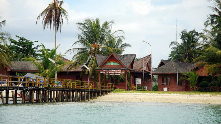 Menilik Pesona Alam Bawah Laut Pulau Putri di Kawasan Mursala