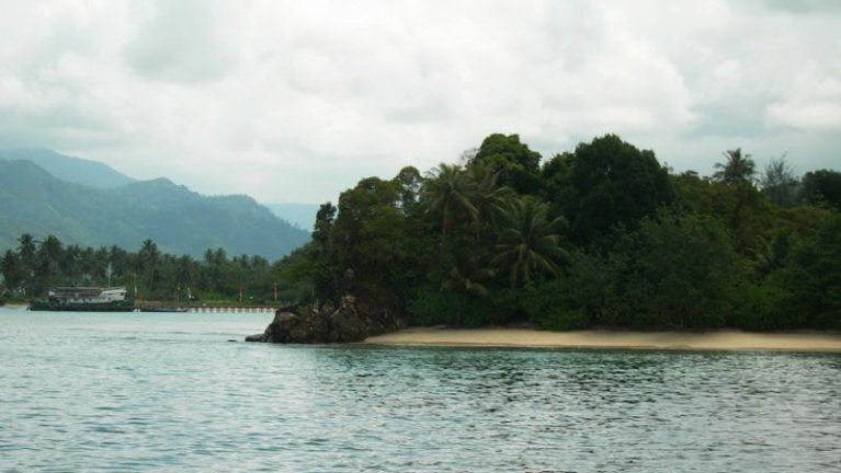 Menilik Pesona Alam Bawah Laut Pulau Putri di Kawasan Mursala