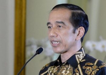Jokowi Lantik 12 Duta Besar Berkuasa Penuh