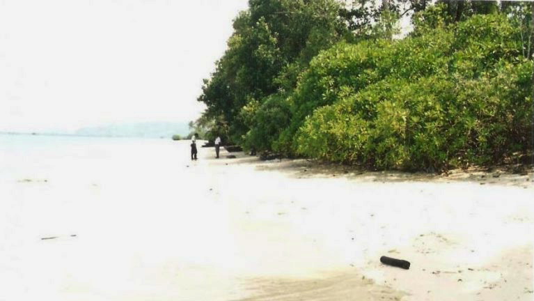 Menilik Pesona Alam Bawah Laut Pulau Putri di Kawasan Mursala Menilik Pesona Alam Bawah Laut Pulau Putri di Kawasan Mursala