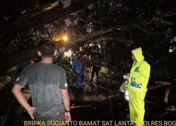 Polisi Gerak Cepat Tangani Pohon Tumbang di Jalur Puncak