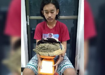 Anak Tomuan ini Ditangkap Bawa Ganja di Palangkaraya