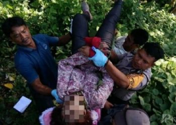 Pegawai Puskesmas Berambut Pirang Ditemukan Tewas di Tebing Baru Taman Nasional Bukit Barisan