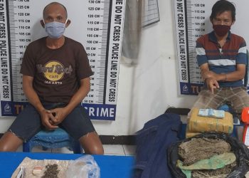 Maruli Tua Sinaga dan Parlindungan Nainggolan Diangkut dari Jalan SKI, Daun Ganja Kering Jadi Barang Bukti