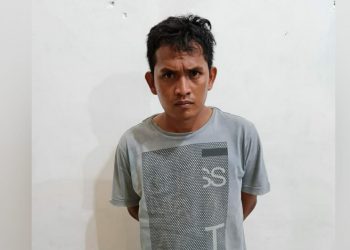Kantongi Sabu, Niko Simanjuntak Ditangkap Polisi