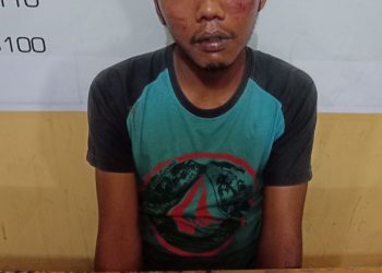 Dagang Sabu di Perlanaan, Kasat Narkoba Tangkap Bandar Sabu
