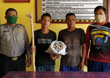 Dua Pria Curi Sarang Walet di saat Pemiliknya Mengamati CCTV