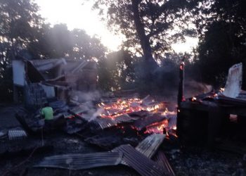 Ditinggal Pemilik, Rumah Adat Batak di Samosir, Danau Toba Dilalap Si Jago Merah